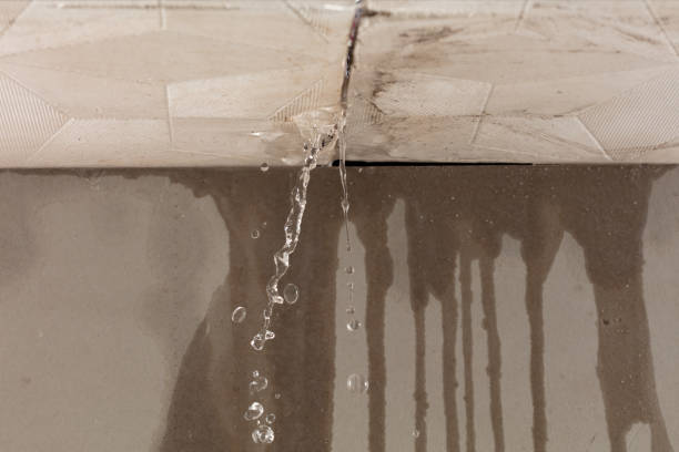 Professional Structural Drying technician working in Woodburn, VA